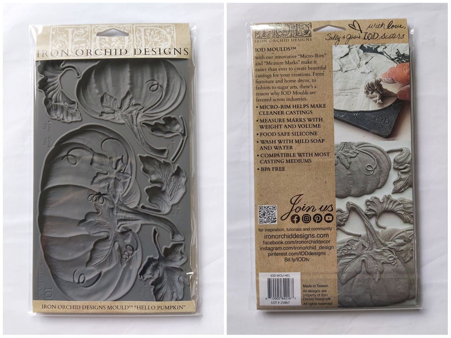 Hello Pumpkin Decor Moulds by Iron Orchid Designs