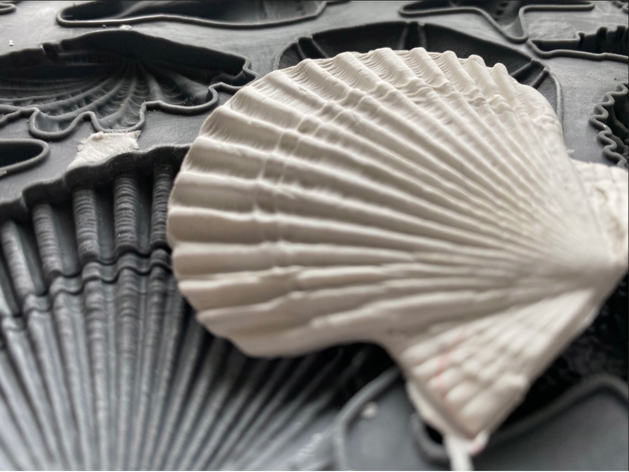 Sea Shell Decor Moulds - IOD