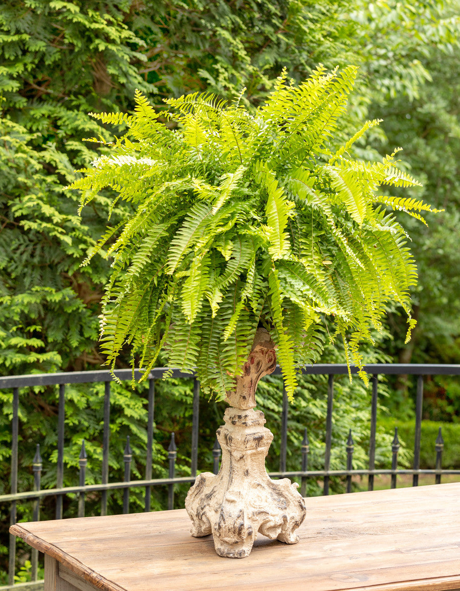 Old World Cast Relic Candle Holder with Fern