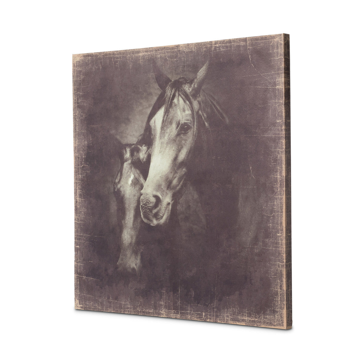 Unbridled Canvas Prints