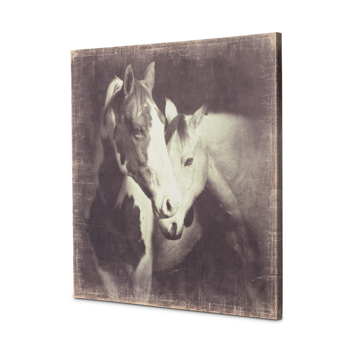 Unbridled Canvas Prints