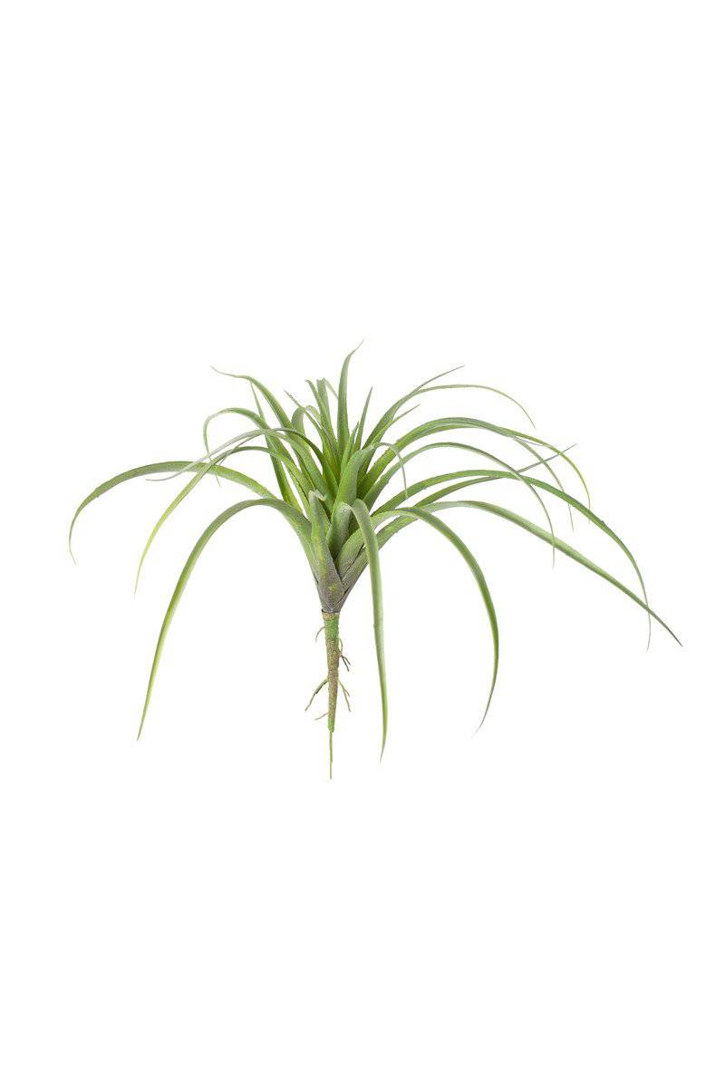 Large Artificial Air Plant